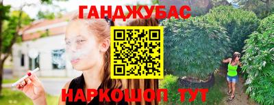 PSILOCYBIN Можга