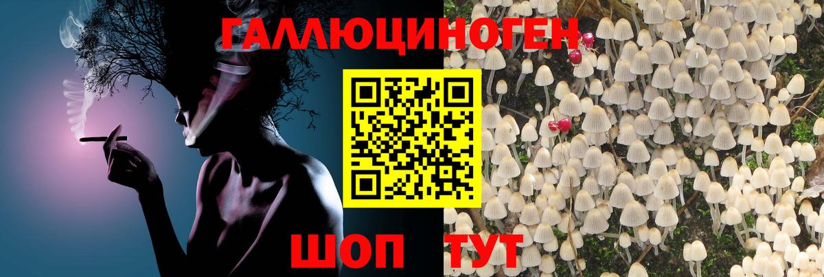 Псилоцибиновые грибы MAGIC MUSHROOMS  Вход с VPN  закладка  Тамбов 